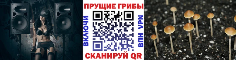 Галлюциногенные грибы ЛСД  Холм 